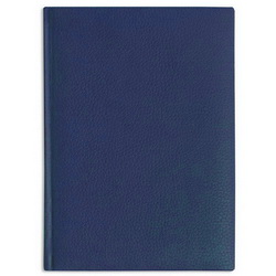 Ежедневник недатированный DALLAS (352 стр.), синий