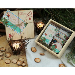 Набор "Посылка Деда Мороза-2": шиповник, 70г, чай травяной, 50г, семя льна, 70г, калина томленая, 100г, вишня вяленая, 50г, открытка в подарочной коробке из дерева