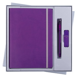 Подарочный набор: ежедневник недатированный формата А5, ручка шариковая Prodir и флеш-карта 8 Гб, искусственная кожа, пластик, цвет салатовый