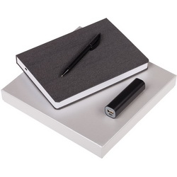 Подарочный набор: ежедневник недатированный формата А5, 336 стр., ручка шариковая Prodir, аккумулятор 2000 mAh,  искусственная кожа, пластик
