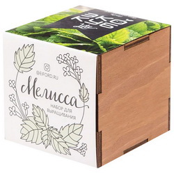 Набор для выращивания "Экология": деревянный куб, бумажный стаканчик, питательный грунт, семена мелиссы, вермикулит. Есть другие варианты растений
