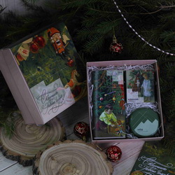 Набор "Сказки с нами" в подарочной картонной коробке:чай травяной, 50 г, клюква вяленая, 50 г, мед цветочный, 120 г, открытка